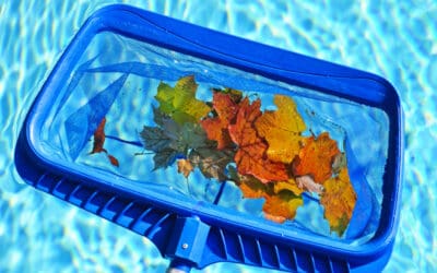 How often should my pool be cleaned or serviced?