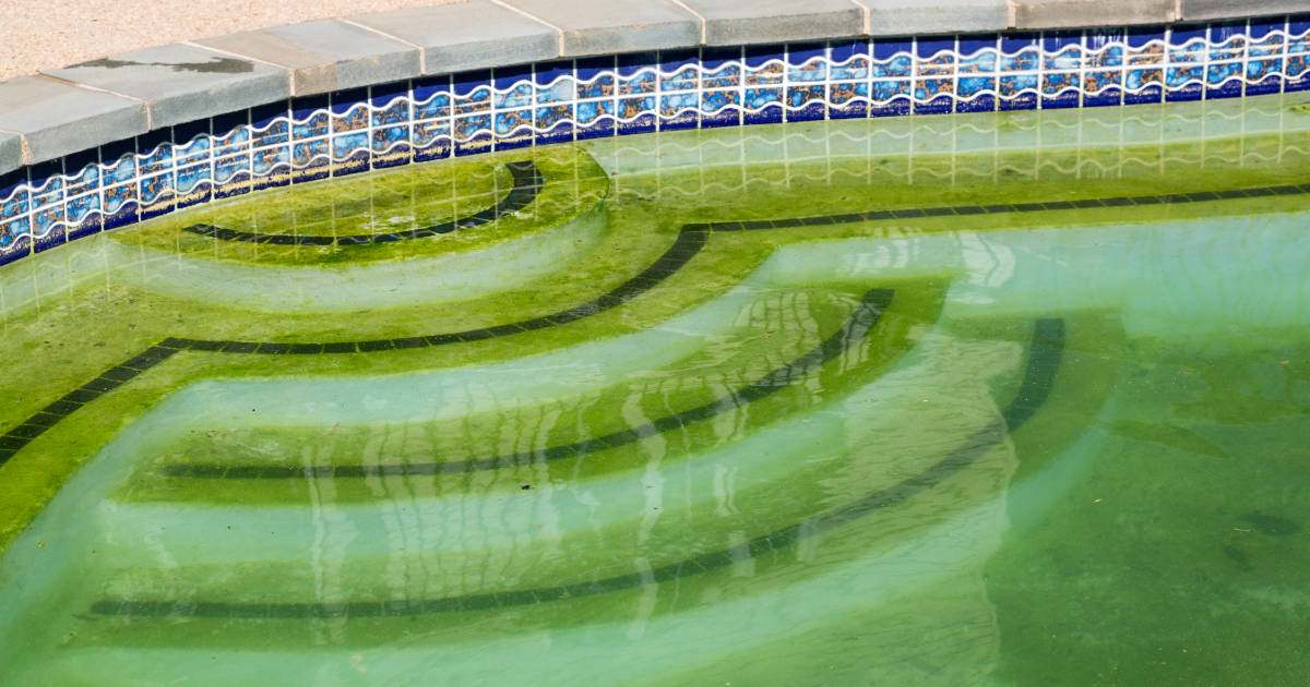 Swimming pool with green stagnant algae filled water before cleaning.